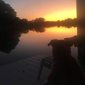 Jeane Pohlman's photo