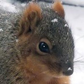George Chene's photo