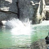 Dorothy Patrick's photo