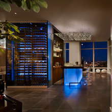 Wine bar in the main living area ideas