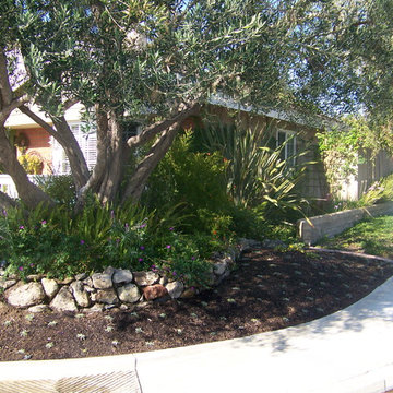 Lawn Replacement Thousand Oaks