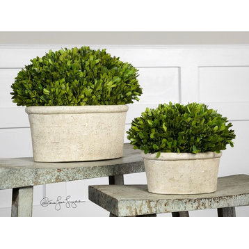 Uttermost 60107 Oval Domes Preserved Boxwood Set/2