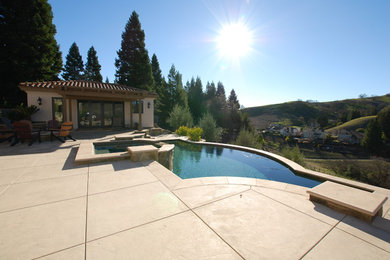 Pool - large contemporary pool idea in San Francisco