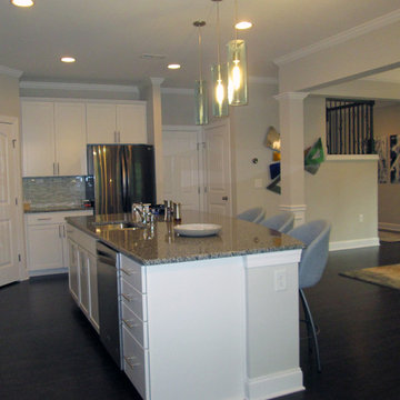 Trans-modern New Construction