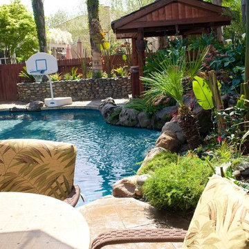 Backyard Landscape Renovation