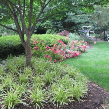 Woodland's edge