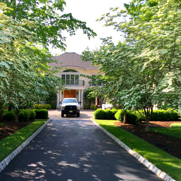 A Driveway Flanked By Dogwoods