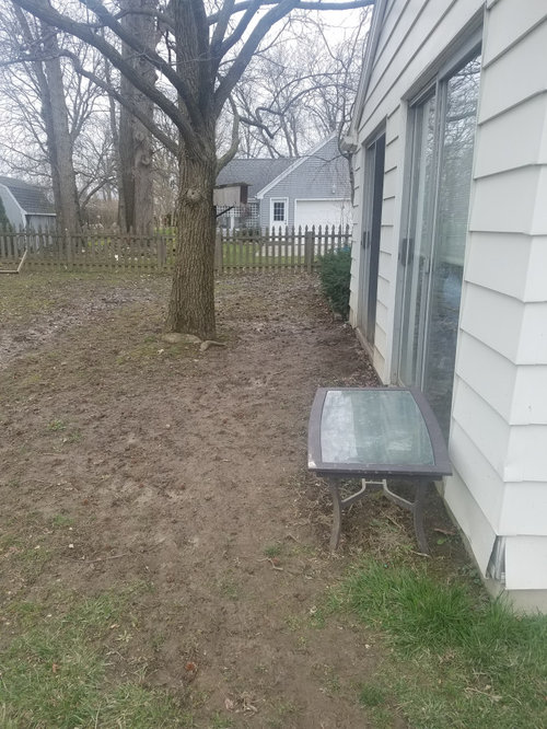 backyard flooding/landscaping issue