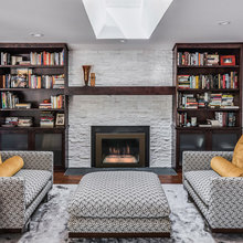 Fireplace Insert