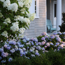 Ext Front Porch