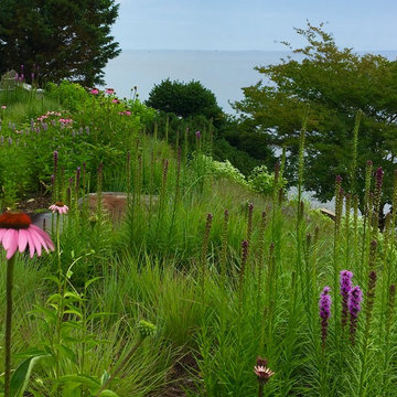 Gibson Island