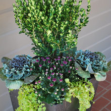 Container Garden