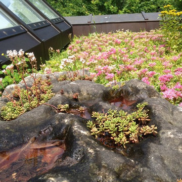 Green Roofs