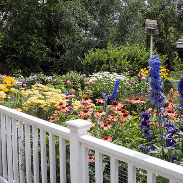 Backyard Gardens