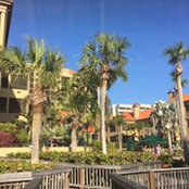 Patricia Lemek's photo