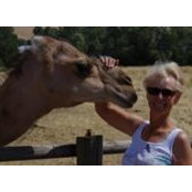 Patti Heller's photo