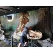 George Koch's photo