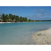 Jeanine Brown's photo