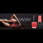 Wendy Brownlee's photo