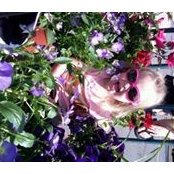 Pj Henry's photo