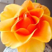 Jamie Mactagone's photo