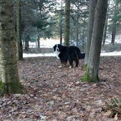 Michelle Vallée's photo
