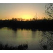 Emilio Ojeda's photo
