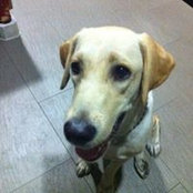 Bryant Chan's photo