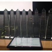 Sal Jones's photo