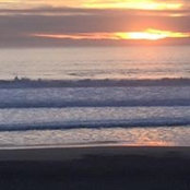 Joanie Goldman's photo