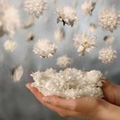 Foto von Sahar Alyosef