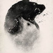 Jenny Dörge's photo