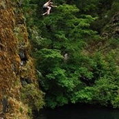 Andrew McDonagh's photo