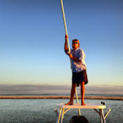 Mike Steins foto