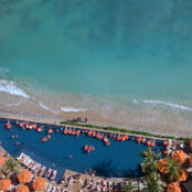 Olga Iliopoulos's photo