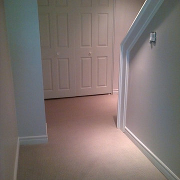 Basement Remodel