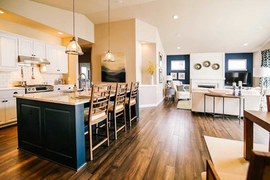 Inspiration for a kitchen remodel in Other