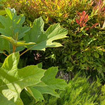 Planting Design