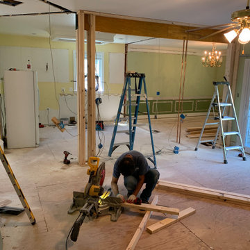 Arlington Interior/Exterior Whole House Remodel