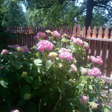 Wood Fences