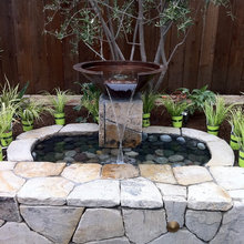Backyard / Deck