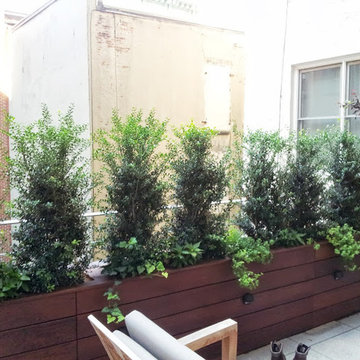 Rooftop garden designers NY