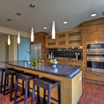 Contemporary Kitchens
