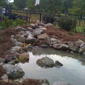 Dog Pond