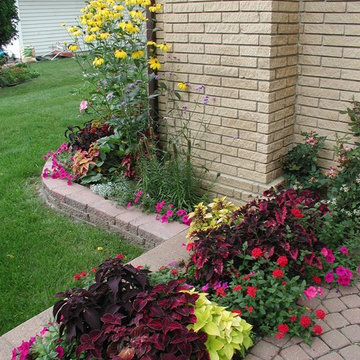 Color Explosion