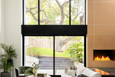 Living room - contemporary living room idea in Austin