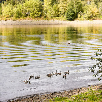 Willamette River View