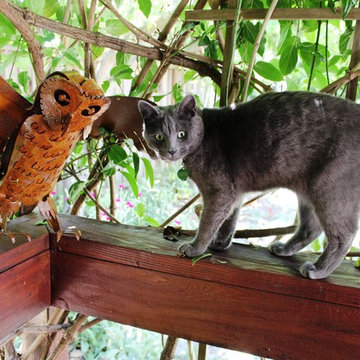 Backyard Kid and Pet-Friendly