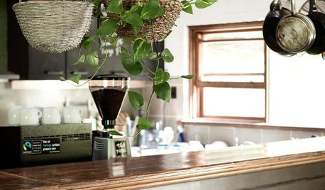 10 Reasons to Repurpose That Rickety Old Ladder