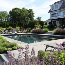 Hamptons Landscape And Pool